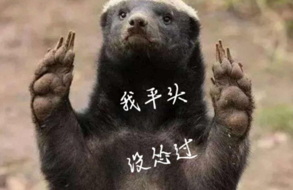 ƽ^씳ʲô޻ͪ{ӣƽ^Ŀǣ