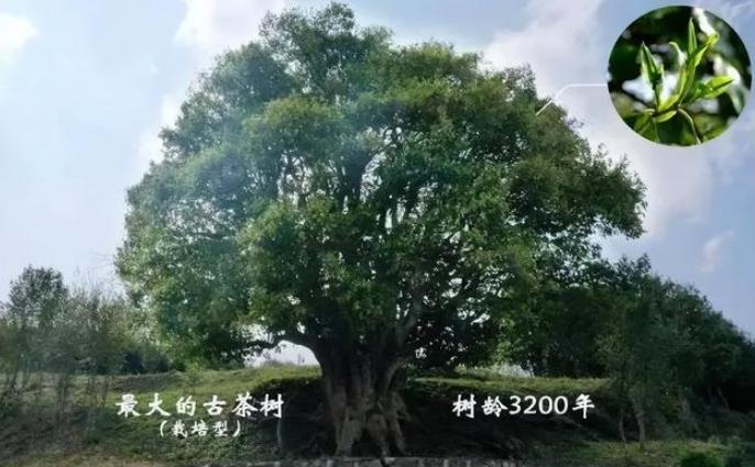 Ї(gu)пϵĲ5u1068fr(ji)