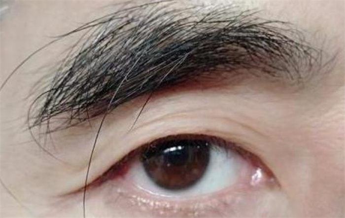 嫁給眉毛淡的男人好嗎（有利有弊）