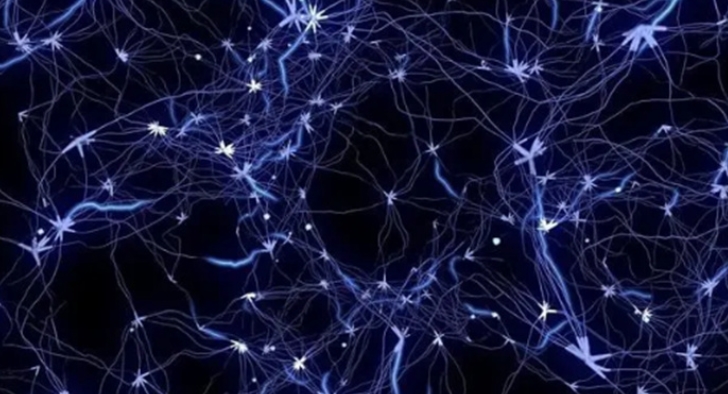 為什么很多科學家都熱衷于研究天才的大腦（認為與眾不同）