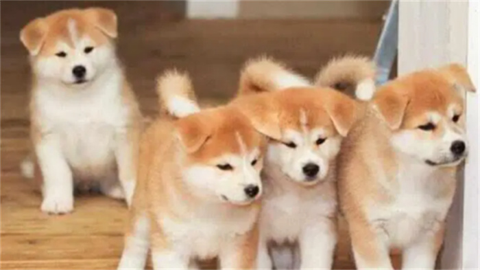 ό\ĄЩȮ