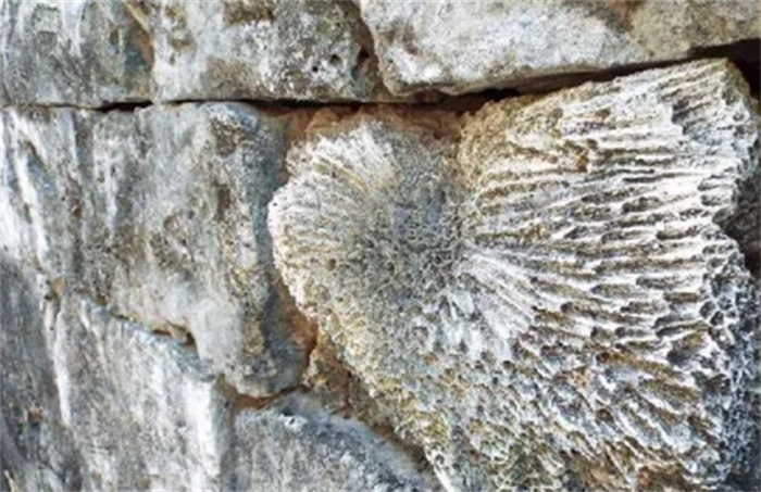 世界上最古老的石塊建筑 用大珊瑚石建造(成立于1600年前)