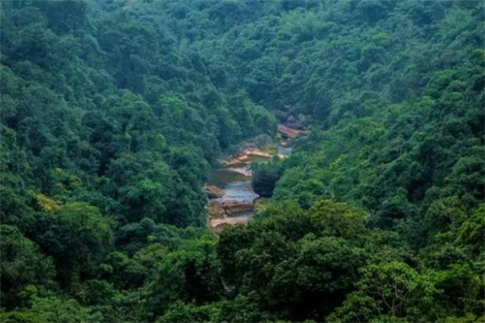 世界上降水最多的地方 世界雨極乞拉朋齊（降水最多