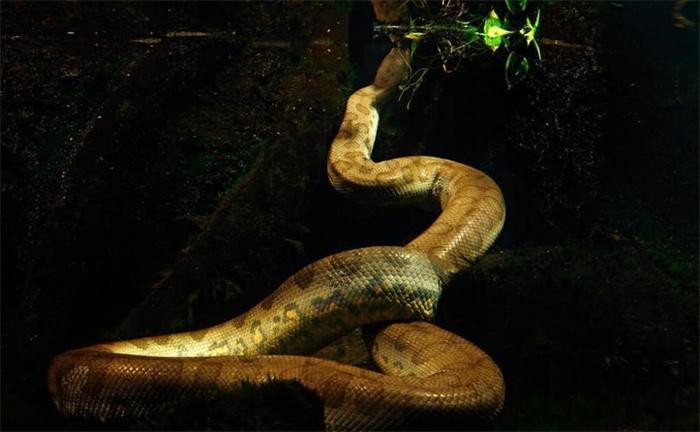 Ĺдo(h) ൽôĹߣ