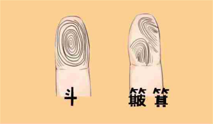 你的手上有幾個斗 幾個簸箕  看看有幾個斗命最好