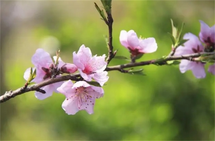 סe١3ФһФRϰ