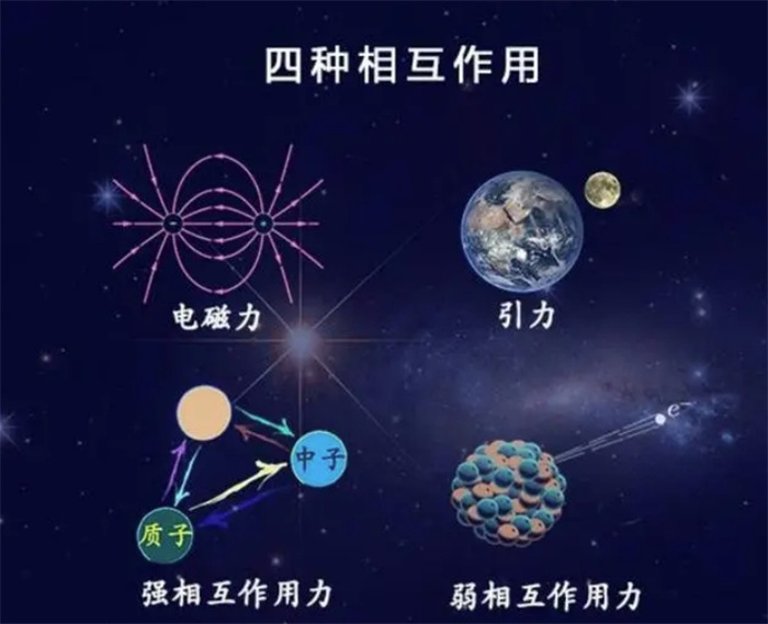 從物理學到化學到生物學，再到社會學，它們是如何連接起來的？