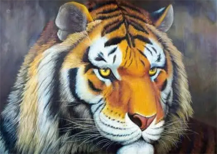 С˵4(g)ФǷҲ_^(gu)