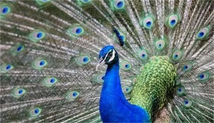 ע4ФòcAһԽԽ