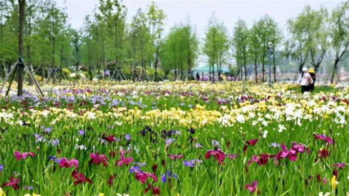 ݵ3Фpr(sh)^(gu)ܶꃺŮТ혲ȱX(qin)