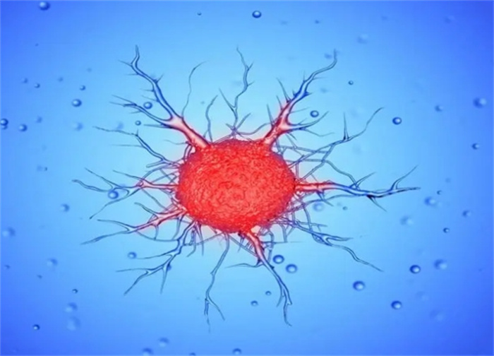 科學(xué)家揭露大腦秘密 大腦與智力的聯(lián)系（人類智商）