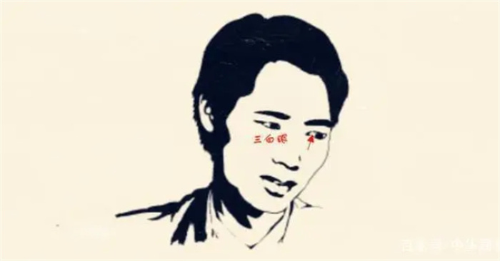 NU(xin)С̓˽ϲgxg治ֶ