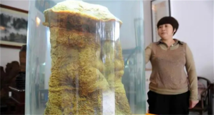 中國科學(xué)家用儀器揭開太歲之謎  到底是什么東西