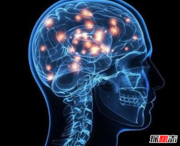 大腦開發(fā)100% 就成神了?大腦對人體的十大重要性