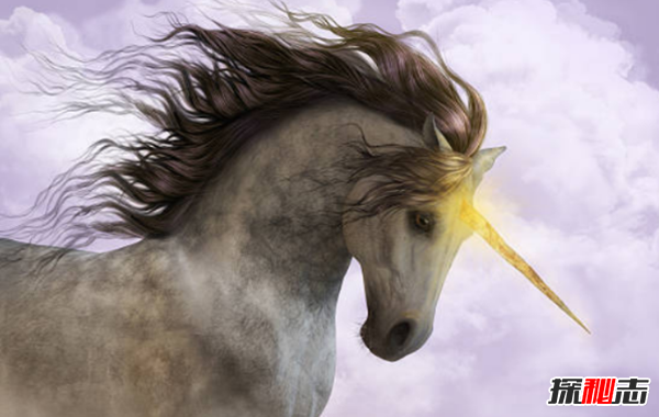 獨(dú)角獸真的存在嗎?獨(dú)角獸的十大來歷和傳說