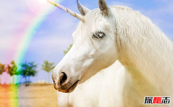 獨(dú)角獸真的存在嗎?獨(dú)角獸的十大來歷和傳說