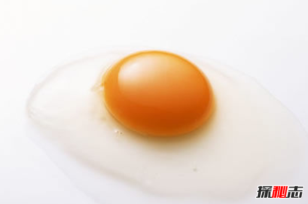 ô׌üë׃?üëL(zhng)10(g)