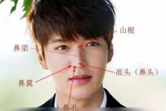 獅子鼻面相的男人：固執(zhí)己見為人古板，卻不失為可靠的丈夫