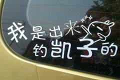 凱子什么意思?閩南語中的詞匯(專指有錢的笨男人)