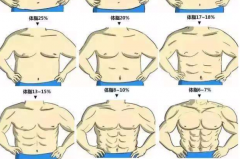 體脂率是什么意思：脂肪重量占總重量比例(反映肥胖程度)