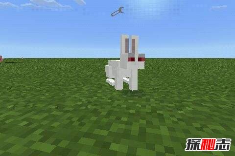 ҵŴ[عһNֻ0.004%ĎʳF(xin)