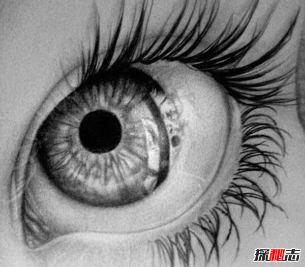 世界上哪種眼睛顏色最多?盤點(diǎn)世界上最多的眼睛顏色