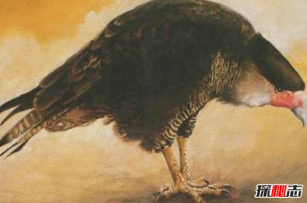 10大最奇特滅絕物種 第九長達三米,第一致死高手(附圖)