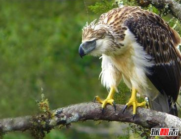 Ă?ʮ݌(sh)()