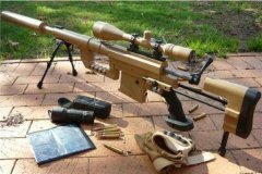 十大禁用槍支 CheyTacM200上榜,來福槍主要用于戰(zhàn)爭