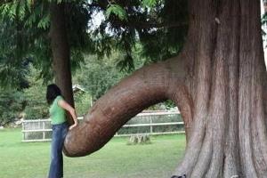 ֳķʽ̫ˣ^̐Ůa(chn)̫ʹ