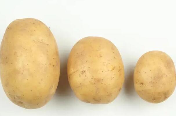 八大熱量最低的主食排行，土豆竟然最低(吃對就不怕長胖)