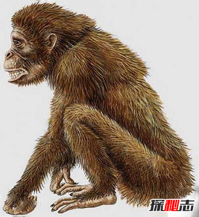 人類是魚進(jìn)化的嗎？從魚到人的進(jìn)化過程圖片揭秘