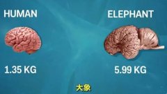 ǵ(hu)ӛĄ(dng)߀Щ(dng)(hu)ӛ