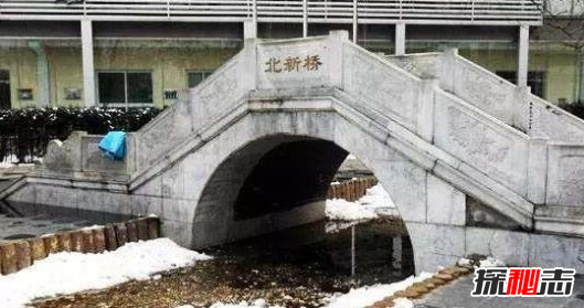 鎖龍井拍到的龍頭圖片