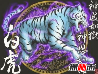 有人拍到了四大神獸,竟真實(shí)存在(像極了)