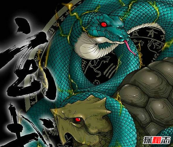 有人拍到了四大神獸,竟真實(shí)存在(像極了)