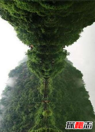 孫悟空身世大揭秘,有人拍到了真的孫悟空(曝驚天真實(shí)身份)