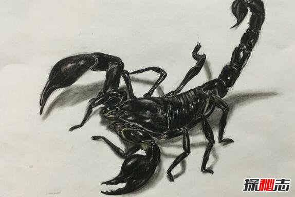 ʮ,,bugһӵĴ