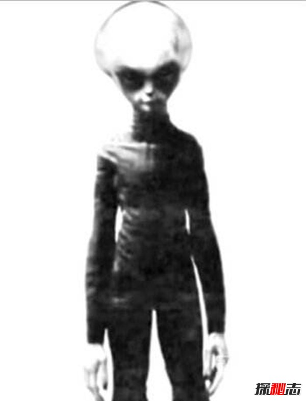 齊塔人和昴宿星人,地球上真實存在的外星人