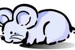 2008年屬鼠人永遠最旺的顏色：白色/金色/黃色