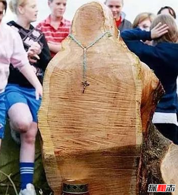 真實(shí)靈異事件圖片,墓地樹木橫截面現(xiàn)圣母瑪利亞肖像
