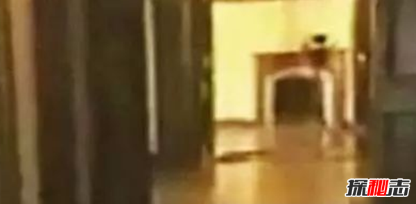 真實(shí)靈異事件圖片,墓地樹木橫截面現(xiàn)圣母瑪利亞肖像