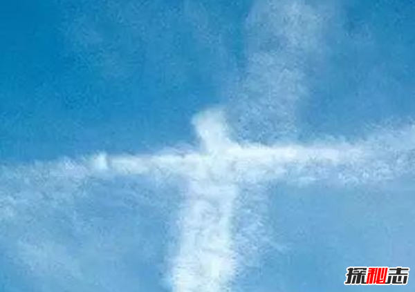 真實(shí)靈異事件圖片,墓地樹木橫截面現(xiàn)圣母瑪利亞肖像