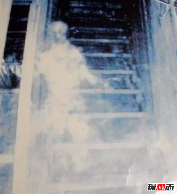 真實(shí)靈異事件圖片,墓地樹木橫截面現(xiàn)圣母瑪利亞肖像
