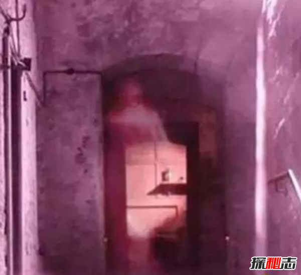 真實(shí)靈異事件圖片,墓地樹木橫截面現(xiàn)圣母瑪利亞肖像