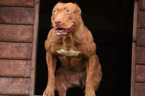 ĹȮ/ҧm(x)(zhn)120犣