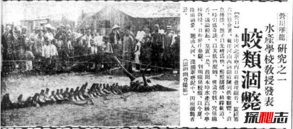 1934年遼寧營(yíng)口墜龍事件是真的嗎,龍骨證據(jù)竟被日本人盜走