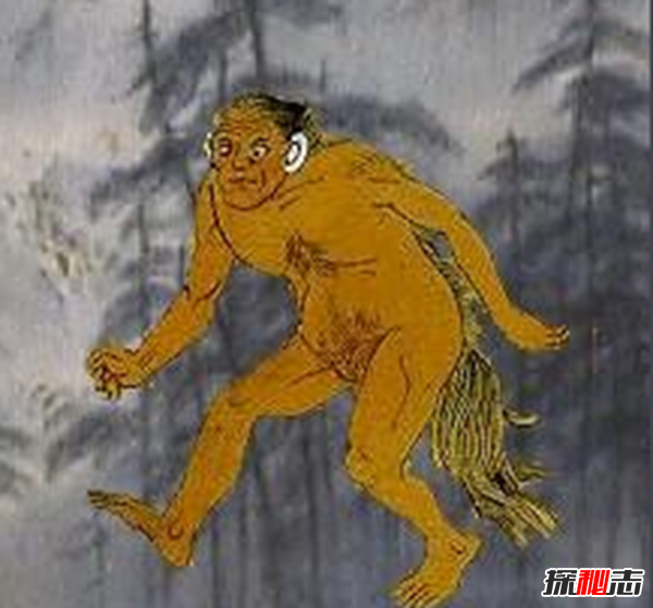 猙是什么動物?與猙齊名的五大兇獸(五條尾巴身形似豹)