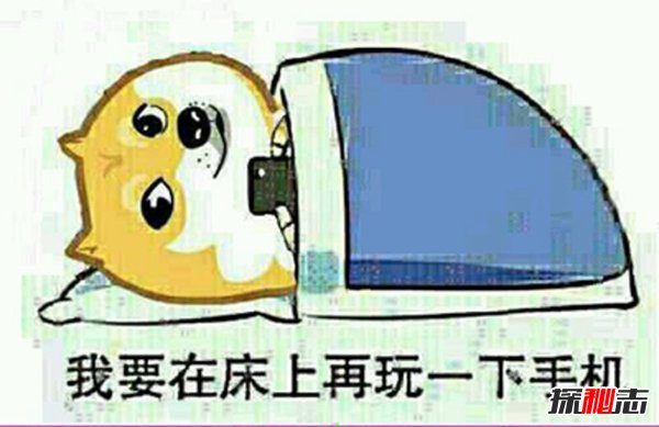 ֙Cݗж?ྐྵ@(Ӱ̥)