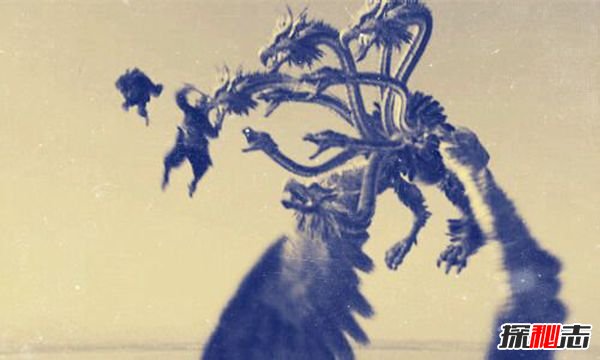 雙魚玉佩五張黑白照片,九頭鳥讓你神志不清
